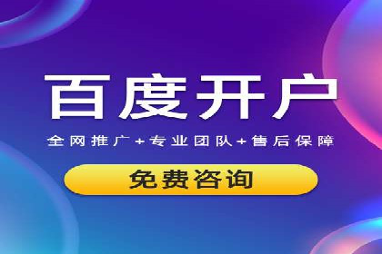 百度竞价推广的技巧与策略：某企业成功案例分享